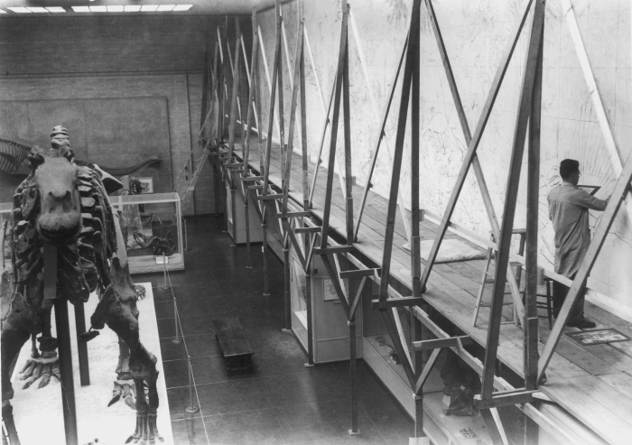 Rudolph F. Zallinger working on The Age of Reptiles mural.